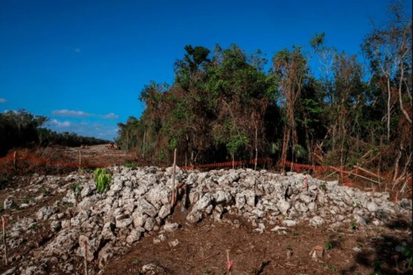 Juez ordena la suspensión definitiva de obras del tramo 5 del tren maya