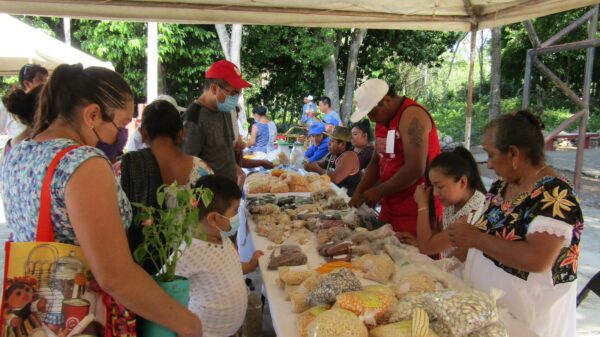 CICY propicia interacción entre productores y milperos de Yucatán
