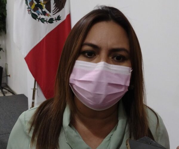 Ley 3 de 3 va por un análisis jurídico exhaustivo del Congreso