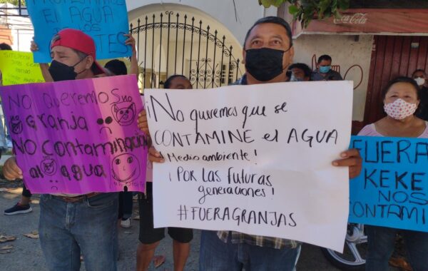 Juez concede suspensión de granja porcícola instalada en Sitilpech, Izamal