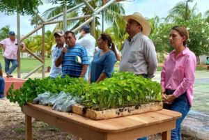 Continúa el Gobierno del Estado con la distribución de 45,000 plantas de chile habanero