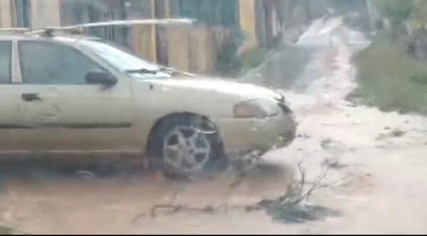 Se desborda la “bomborota” en Tekax