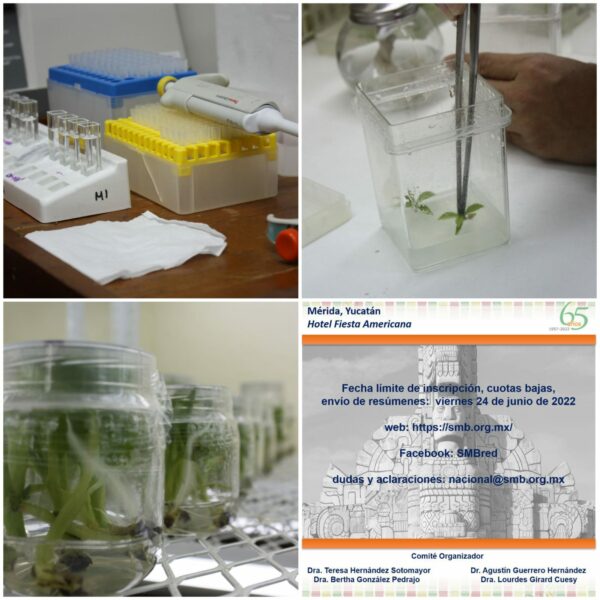 Mérida recibirá a los mejores expertos de Bioquímica de México y del mundo