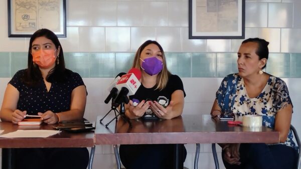 La Ley 3 de 3 contra la violencia de género será una realidad: activistas