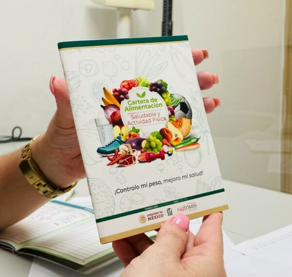 Ante periodo vacacional, llama IMSS Yucatán a mantener hábitos saludables en niñas y niños