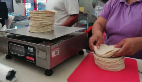 A partir de agosto, el kilo de tortilla se venderá hasta en 28 pesos