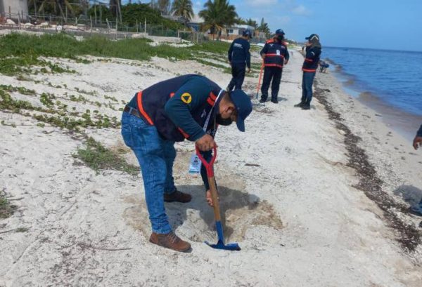 Continúa monitoreo de marea roja en Yucatán