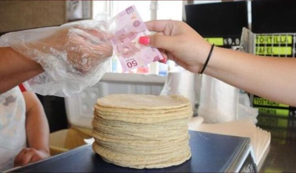 ¡Hasta en 30 pesos el kilo de tortilla en el norte y poniente de Mérida!