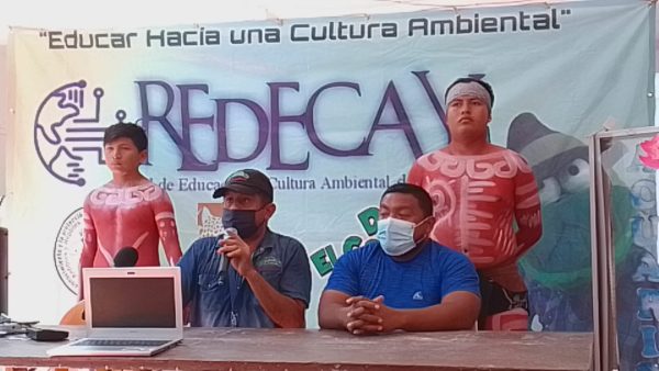 La contaminación está matando a los cocodrilos