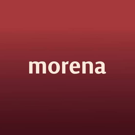 Misoginia y transfobia en la elección para las presidentas de los Comités Ejecutivos Estatales de Morena