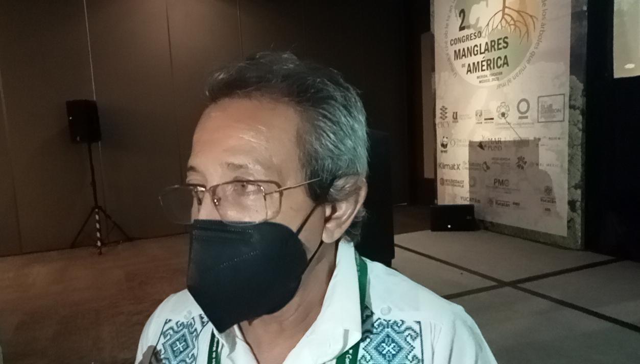 La contaminación de la ciudad favorece las mareas rojas