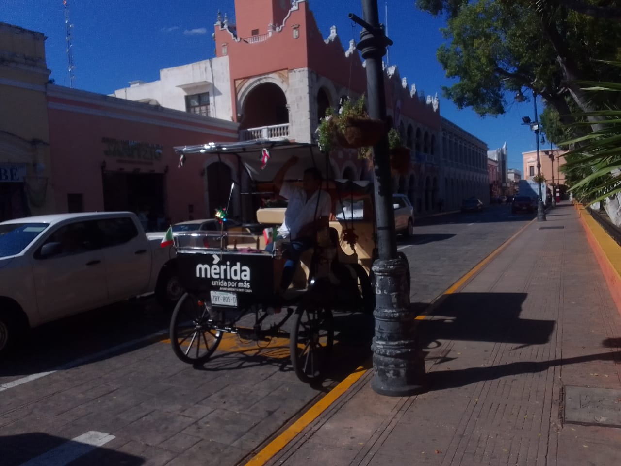 Calesas tradicionales deben retirarse para garantizar el éxito de las eléctricas