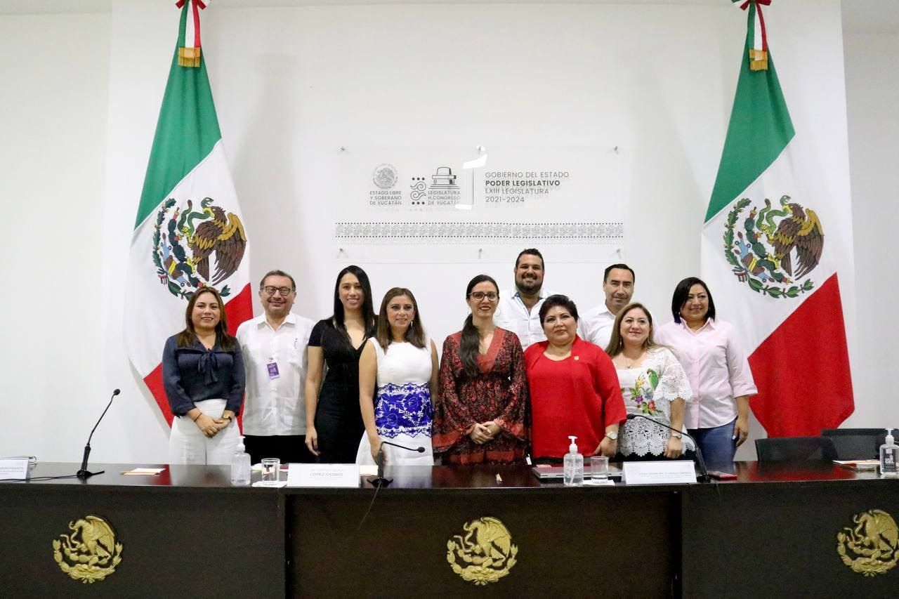 Continúan los trabajos en la Comisión de Salud en torno al tema de Salud Mental