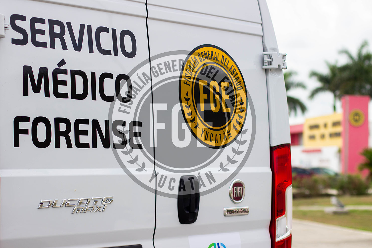 Fallo Condenatorio en juicio oral por homicidio en razón de parentesco