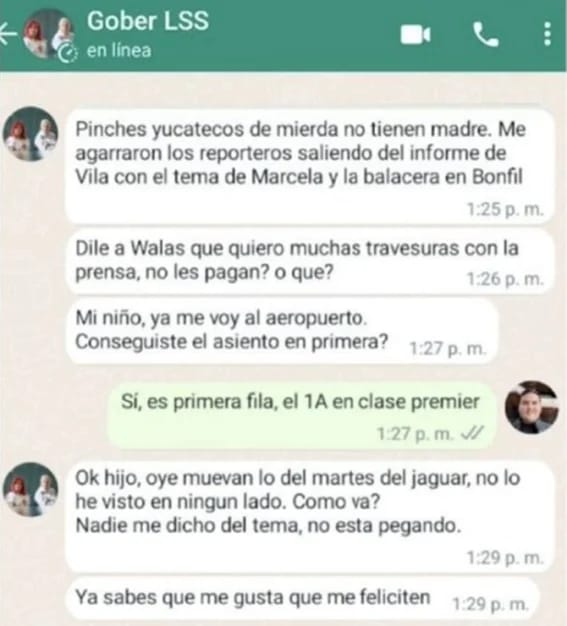 «Pinches yucatecos de mierda», así se expresó Layda Sansores de los reporteros