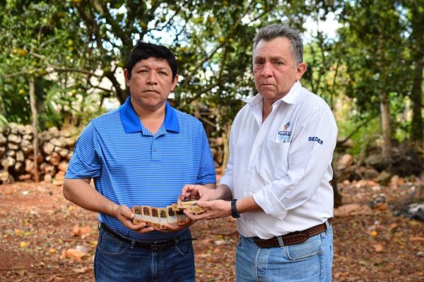 La apicultura en Yucatán está respaldada por el Gobernador Mauricio Vila Dosal