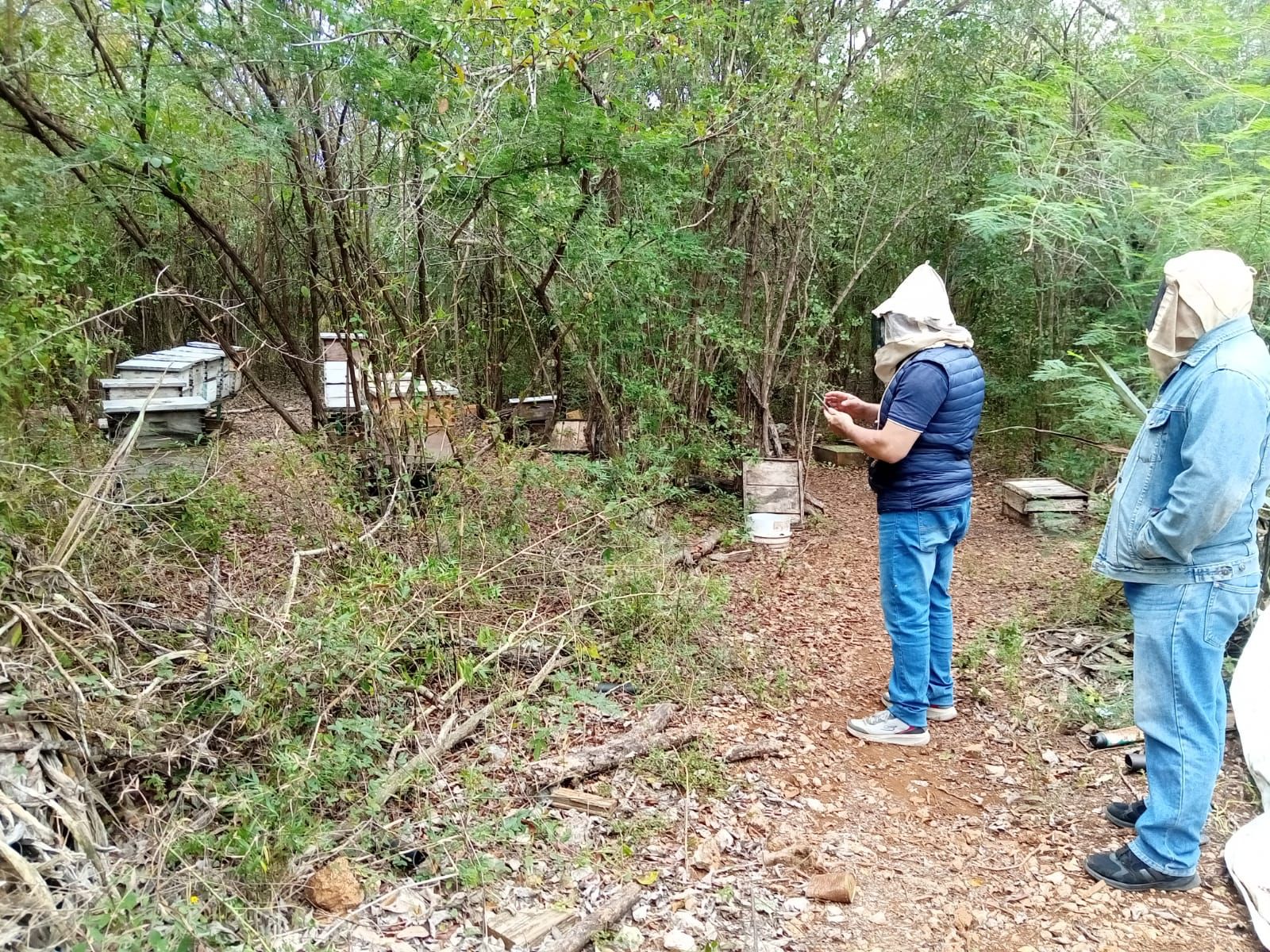 En Umán, Gaspar Ventura y Mauricio Vila, trabajan en equipo para transformar el campo de esta ciudad