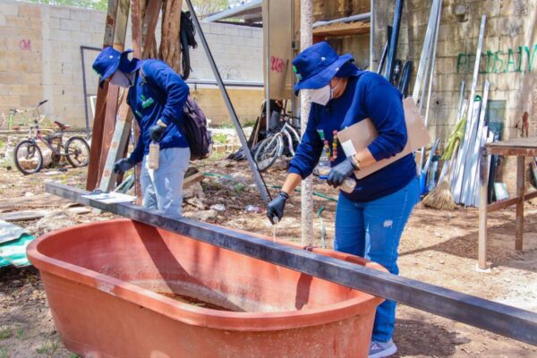 Brigadistas del Ayuntamiento de Mérida inician campaña de control larvario contra el dengue, con acciones de abatización y limpieza en colonias y comisarías, en coordinación con autoridades de salud estatal.